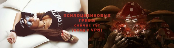 гашик Волосово