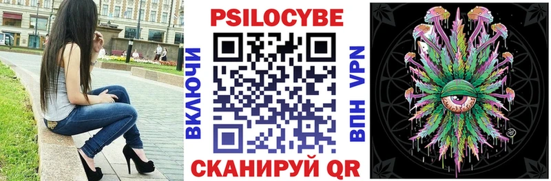 Псилоцибиновые грибы Psilocybe  Купить закладки  Гусиноозёрск 